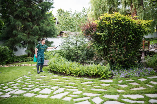 Trusted Brightwaters, NY Pest Control Experts