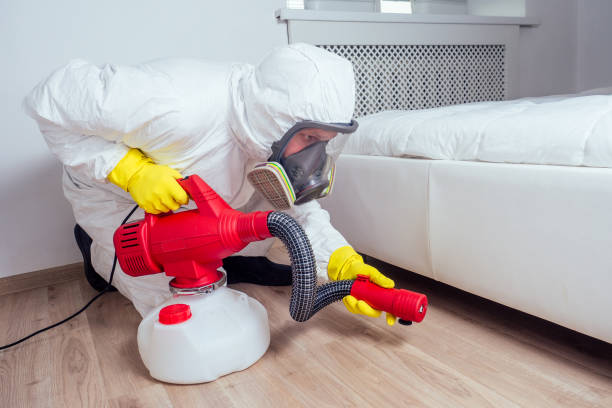 Best Pest Removal Services  in Brightwaters, NY