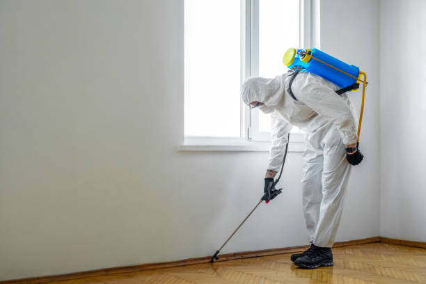 Best Exterminator Services  in Brightwaters, NY