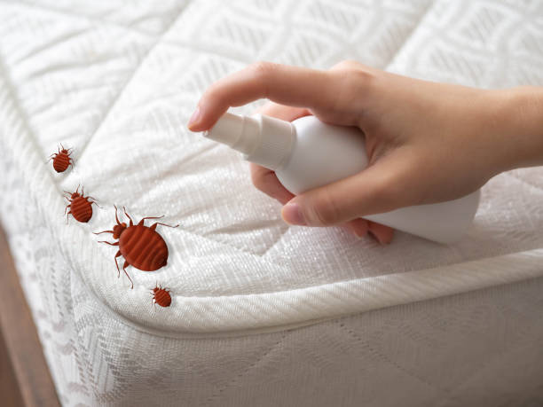 Best Exterminator Services  in Brightwaters, NY