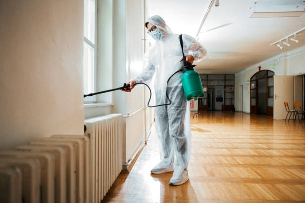 Best Pest Prevention Services  in Brightwaters, NY