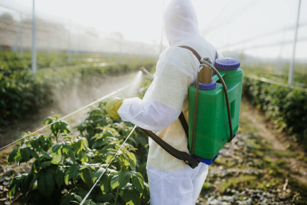 Best Pest Inspection Near Me  in Brightwaters, NY